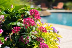 Southlake Remodel Space Swimming Pool Project - Claffey Pools