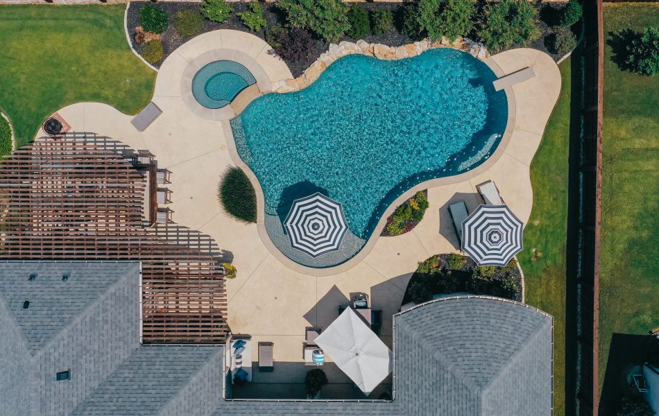 Light and Bright Freeform Oasis Swimming Pool Project - Claffey Pools