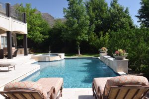 Gardenesque Shape Swimming Pool Project - Claffey Pools