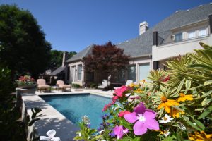 Gardenesque Shape Swimming Pool Project - Claffey Pools