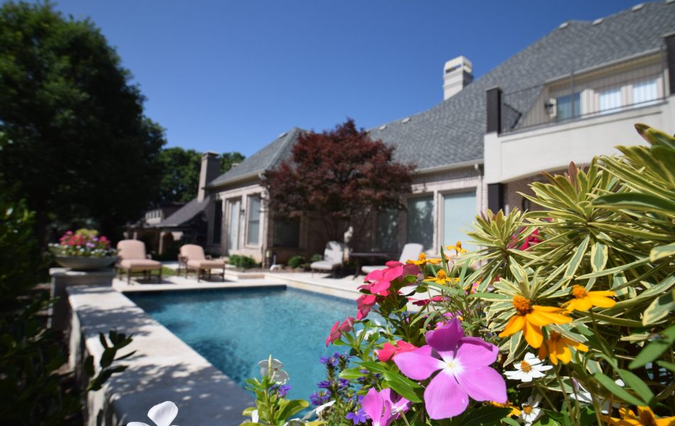 Gardenesque Shape Swimming Pool Project - Claffey Pools