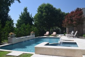 Gardenesque Shape Swimming Pool Project - Claffey Pools