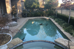 Straight-line Shape Remodel Swimming Pool Project - Claffey Pools