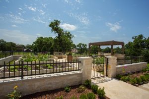 Tuscan Garden Escape Swimming Pool Project - Claffey Pools