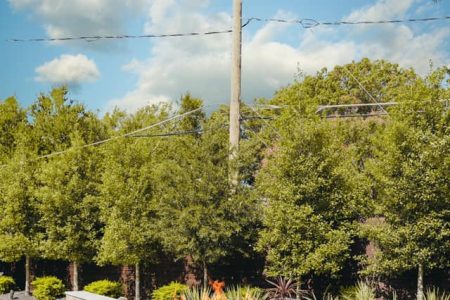 Water Fountain - Claffey Pools
